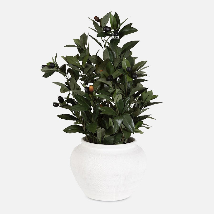 Uttermost Elena Olive Centerpiece, White - 60236