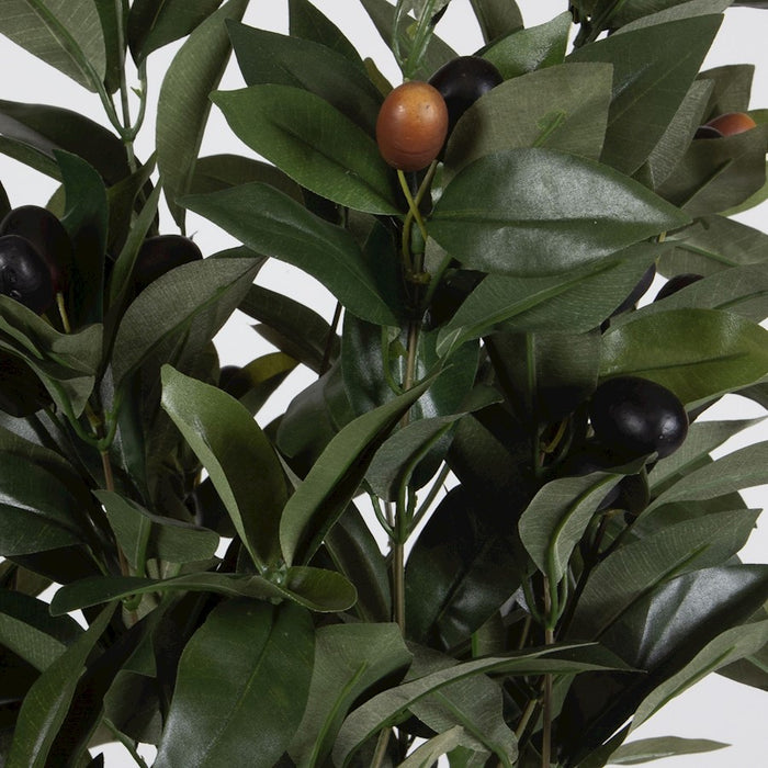 Uttermost Elena Olive Centerpiece, White