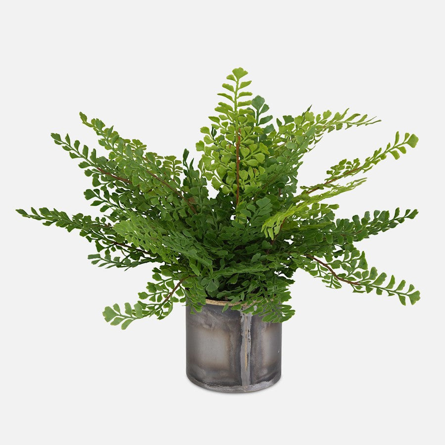 Uttermost Maidenhair Fern In Oxidized Container, Metal/Gold - 60237