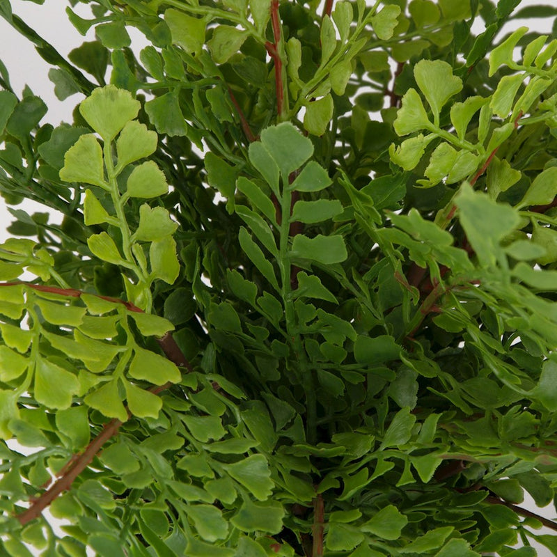 Uttermost Maidenhair Fern In Oxidized Container, Metal/Gold