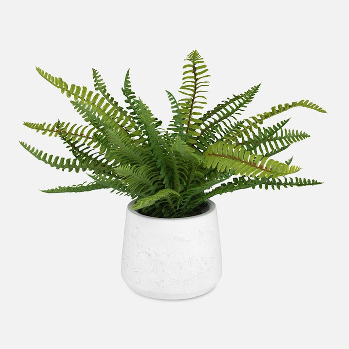 Uttermost Boston Fern In White Ceramic Pot - 60238