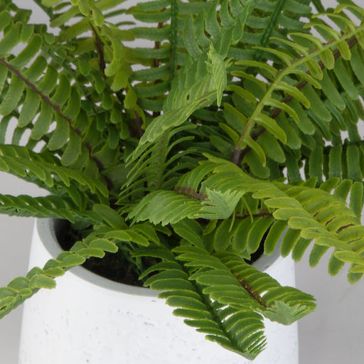 Uttermost Boston Fern In White Ceramic Pot