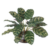 Uttermost Peacock Plant Accent | Green Faux Plant in Glass Vase | Living Room & Office Decor | 15.5 x 15.5 x 13 in | Model 60273