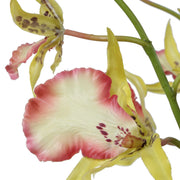 Uttermost Spider Orchid in Glass Vase | Coral & Yellow Faux Orchid | Living Room & Office Decor | 13.5 x 14 x 31 in | Model 60274