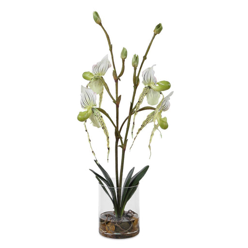Uttermost Lady Slipper Orchid in Glass Vase | White Faux Orchid | Living Room & Office Decor | 12 x 10 x 27 in | Model 60276