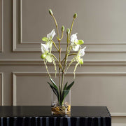 Uttermost Lady Slipper Orchid in Glass Vase | White Faux Orchid | Living Room & Office Decor | 12 x 10 x 27 in | Model 60276