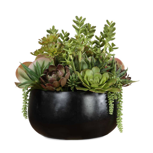 Uttermost Mico Succulent Centerpiece | Matte Black Vase with Green & Burgundy Faux Succulents | Indoor-Outdoor Table Decor | Model 60277