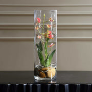 Uttermost Mariposa Pink Orchid | Soft Pink Blooms in Glass Vase with Faux Water & Stones | Tabletop Accent | 4.75 x 4.75 x 14.25 in | Model 60278