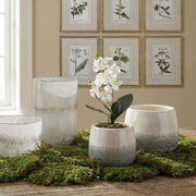 Uttermost Laris Orchid Drop-In | White Moth Orchid Stem with Moss & Permanent Soil | Planter Insert for Indoor Pots | 9 x 9 x 14.75 in | Model 60280