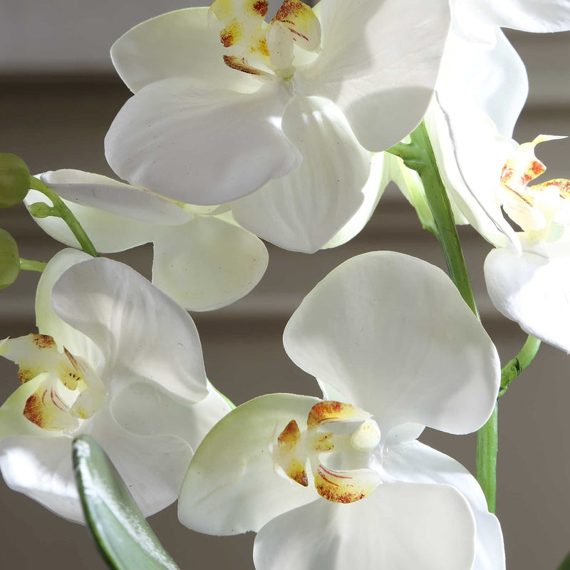 Uttermost Laris Orchid Drop-In | White Moth Orchid Stem with Moss & Permanent Soil | Planter Insert for Indoor Pots | 9 x 9 x 14.75 in | Model 60280