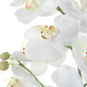 Uttermost Laris Orchid Drop-In | White Moth Orchid Stem with Moss & Permanent Soil | Planter Insert for Indoor Pots | 9 x 9 x 14.75 in | Model 60280