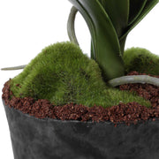Uttermost Laris Orchid Drop-In | White Moth Orchid Stem with Moss & Permanent Soil | Planter Insert for Indoor Pots | 9 x 9 x 14.75 in | Model 60280