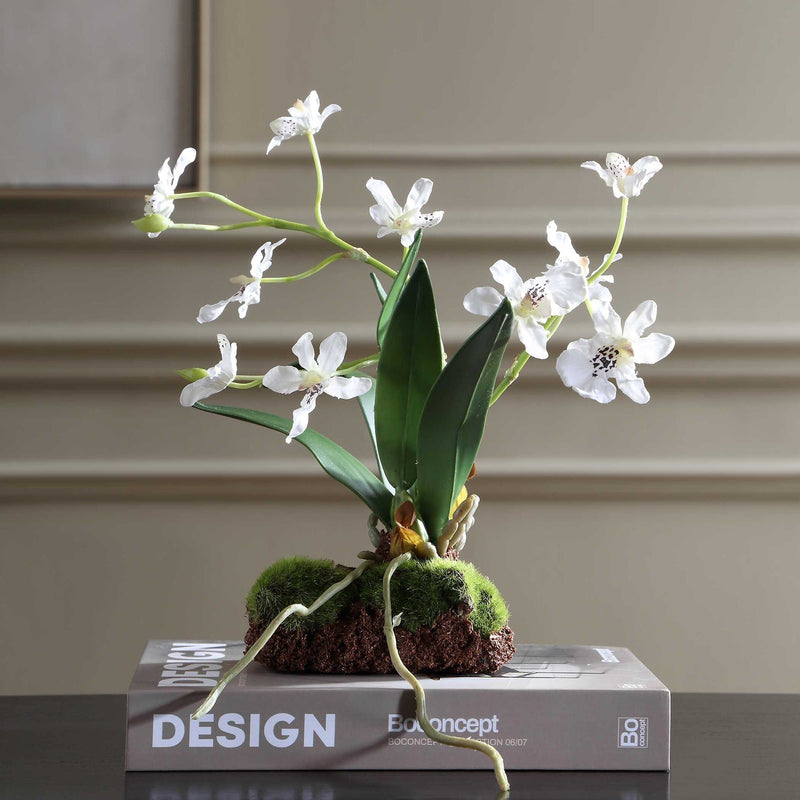 Uttermost Clovis Orchid Drop-In | Lifelike White Dancing Orchid with Soil and Moss | Shelf & Table Decor | 10.25 x 6.25 x 11 in | Model 60281