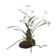 Uttermost Clovis Orchid Drop-In | Lifelike White Dancing Orchid with Soil and Moss | Shelf & Table Decor | 10.25 x 6.25 x 11 in | Model 60281