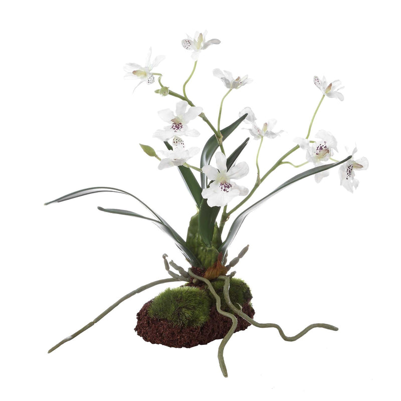 Uttermost Clovis Orchid Drop-In | Lifelike White Dancing Orchid with Soil and Moss | Shelf & Table Decor | 10.25 x 6.25 x 11 in | Model 60281