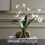 Uttermost Clovis Orchid Drop-In | Lifelike White Dancing Orchid with Soil and Moss | Shelf & Table Decor | 10.25 x 6.25 x 11 in | Model 60281
