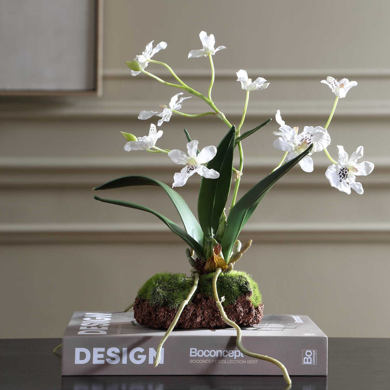 Uttermost Clovis Orchid Drop-In | Lifelike White Dancing Orchid with Soil and Moss | Shelf & Table Decor | 10.25 x 6.25 x 11 in | Model 60281