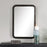 Haus Appeal Marcella 33X23" Mirror