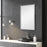 Haus Appeal Designs Founder 30x18in Wall Mirror | Stainless Steel Frame | Entryway & Bathroom Accent | 30 x 18 x 0.91 in, Vertical Mount | Model W00493