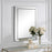 Haus Appeal Designs Davian 40X30" Mirror - W00543
