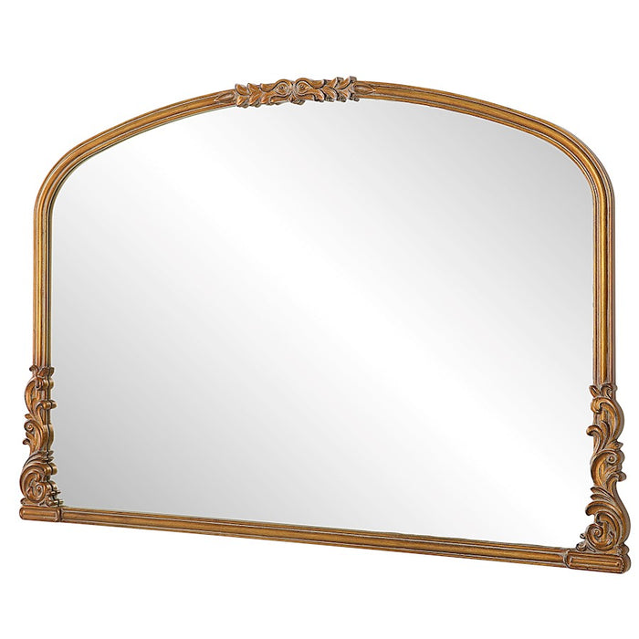 Haus Appeal Designs Donavan 28X38" Mirror - W00573