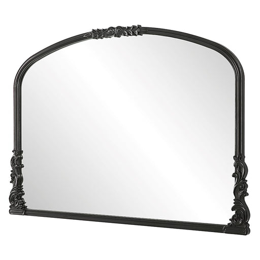 Haus Appeal Designs Ivan 28X38" Mirror - W00574