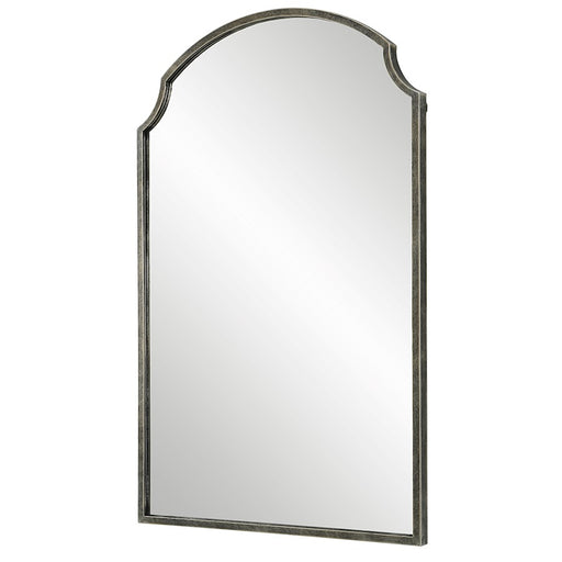 Haus Appeal Designs Amari 36X22" Mirror - W00576