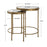 Haus Appeal Fraise Nest Tables (Set of 2) | Antique Brushed Gold Iron & Mirror Top | Living Room & Bedroom Accent Tables | 17 x 17 x 24 in | Model W23011