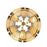 Varaluz Peep Show 6-Lt Foyer Pendant, Sunwashed Silver/Sienna