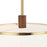 Varaluz Desert Flyer 3-Lt Pendant/Semi-Flush Mount, Brass/Walnut