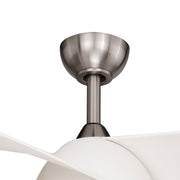 VXF0091-4.jpg