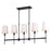 Vaxcel Camden 45.5" 5 Light Linear Chandelier, Matte Black - H0289