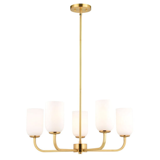 Vaxcel Shelby 26" 5 Light Chandelier, Natural Brass - H0305