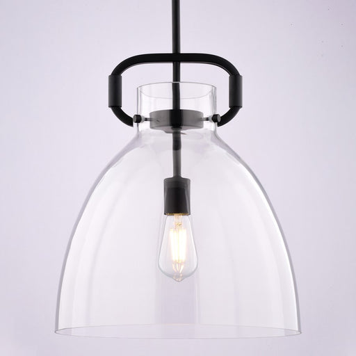 Vaxcel Madrona 1 Light 14"W Pendant, Black/Clear Glass