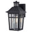Vaxcel Garfield Park 12" Outdoor Motion Sensor Wall Light, Black/Seed - T0781