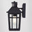 Vaxcel Garfield Park 12" Outdoor Motion Sensor Wall Light, Black/Seed