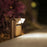 WAC Linear Path/Area Light, 2700K, Solid Brass Coated/Bronze/Frost