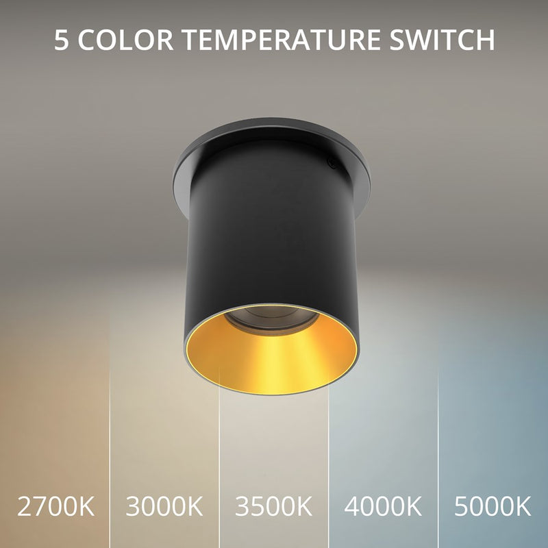 WAC Zoron 1Lt 3.5" RD Flush Mount/Flood Beam Black-Gold/Clear