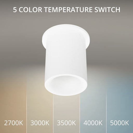 WAC Zoron 1Lt 3.5" RD RT Flush Mount/Narrow Beam/Arc Trim White