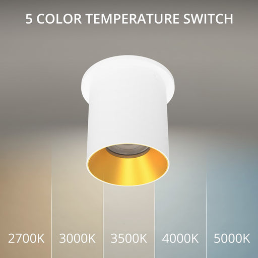 WAC Zoron 1Lt 3.5" RD Flush Mount/Narrow Beam White-Gold/Clear