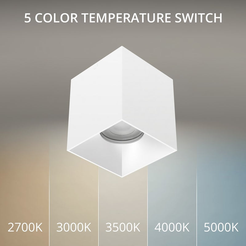 WAC Zoron 1Lt 3.5" Square 4SL Flush Mount/Narrow Beam White Haze