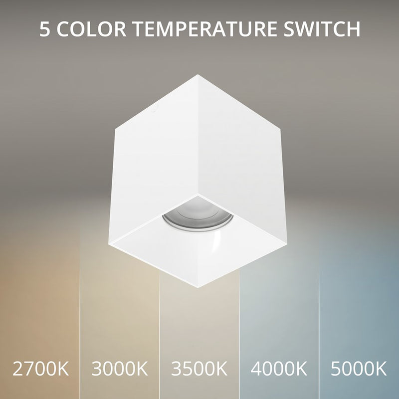 WAC Zoron 1Lt 3.5" Square Flush Mount/Narrow Beam White/Clear