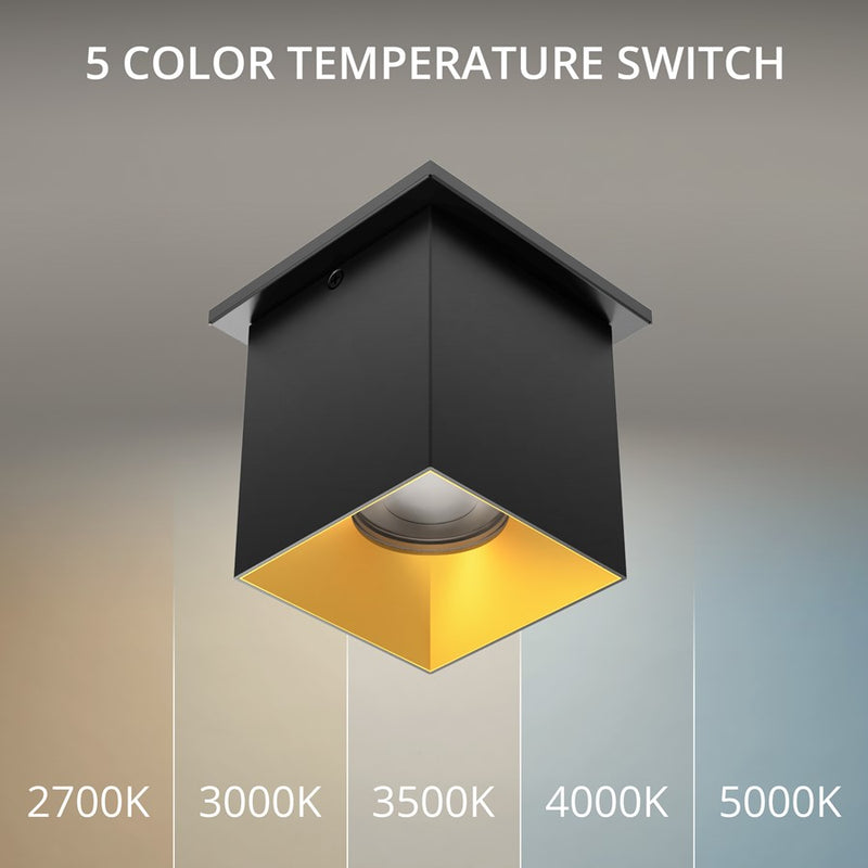 WAC Zoron 1Lt 3.5" Square Flush Mount/Flood Beam Black Gold/Clear