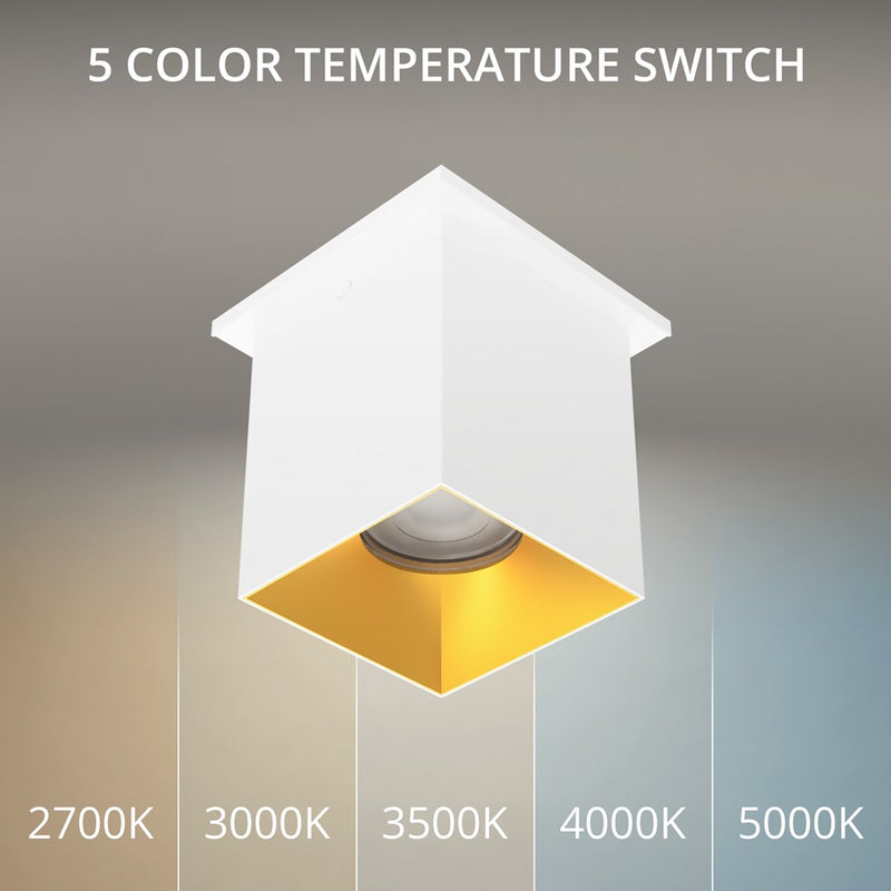 WAC Zoron 1Lt 3.5" Square Flush Mount/Flood Beam White Gold/Clear