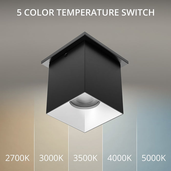 WAC Zoron 1Lt 3.5" Square Flush Mount/Narrow Beam Black Haze/Clear