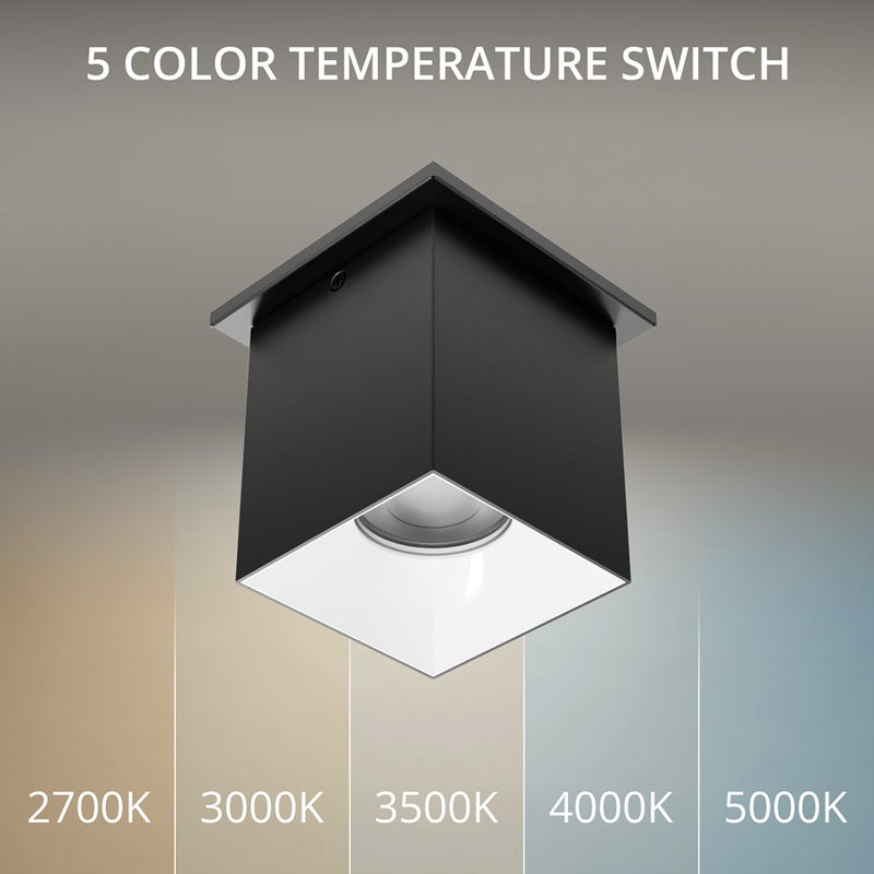 WAC Zoron 1Lt 3.5" Square Flush Mount/Narrow Beam Black White/Clear