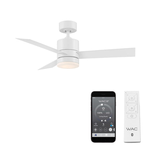 WAF-083L-MW-2.jpg