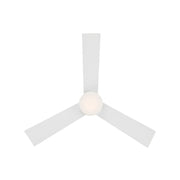 WAF-083L-MW-6.jpg