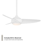 WAF-094L-MW-6.jpg