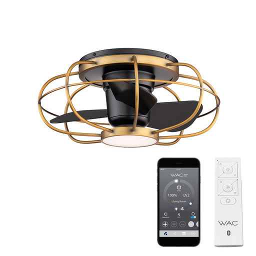WAC Aella 3-Blade LED Caged Flush Mount Fan, Brass Black/Black - F-096L-AB-MB